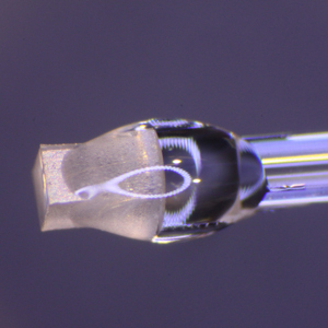 Cristal de GaN collé à l'extrémité de la fibre