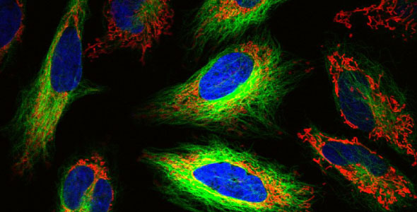 CASE-STUDY_Hyperspectral-imaging-with-wideband-optical-fibers