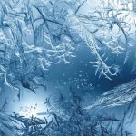 optical fiber assembly cryogenic sector